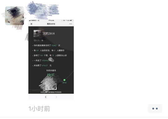 用户在朋友圈分享“我的2018”微信查询报告