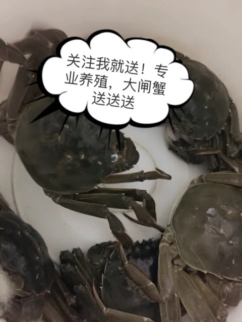 快手僵粉怎么买_快手买粉丝网站_快手买活粉网站