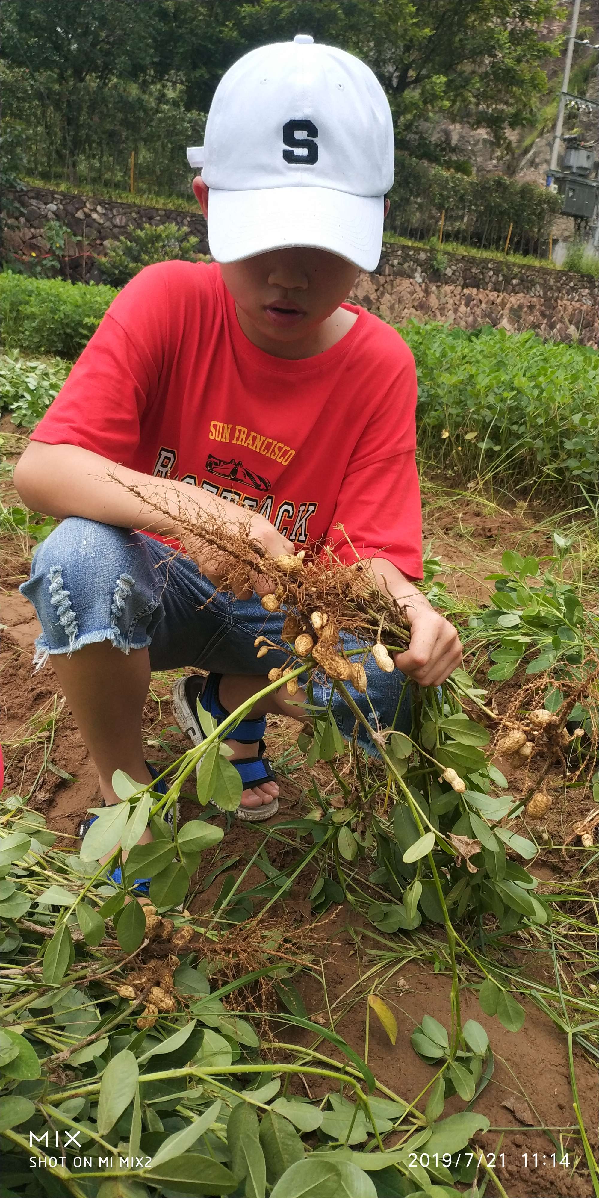 死粉对账号有影响吗_迈克杰克逊死后的影响_刷快手死粉不掉粉网站