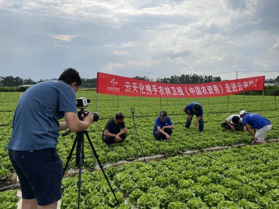 微信短视频怎么拍_睡的美拍美女杀猪40个美拍短视频_怎么拍好一个短视频作品