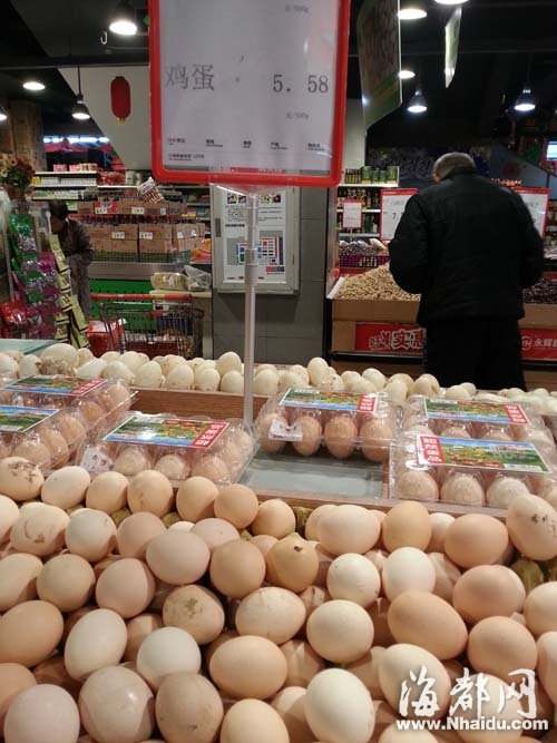 鸡蛋碎鸡肚子里鸡会有什么症状_鸡病专业网鸡蛋价格探讨_中国鸡蛋网今日鸡蛋价