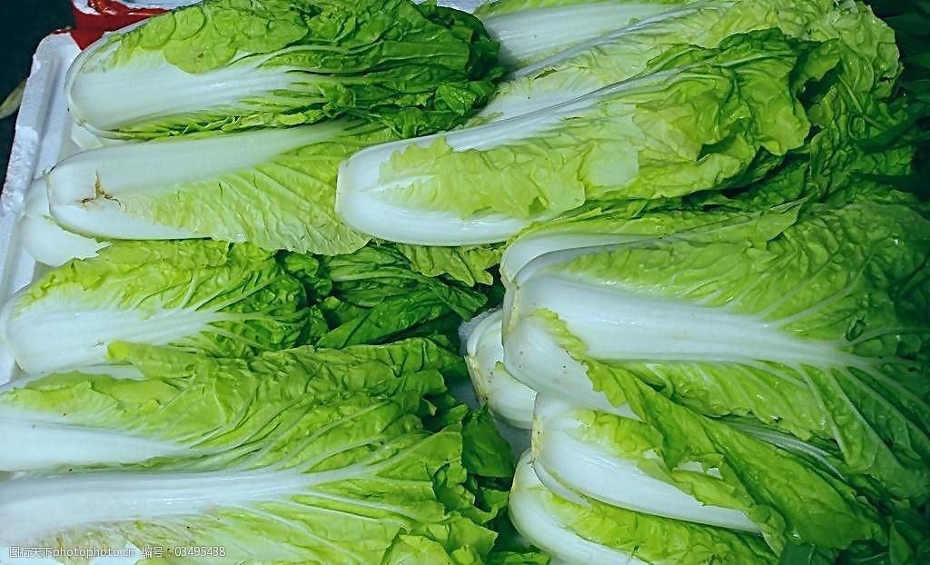往白菜上打甲醛比例是多少_甲醛白菜怎么分辨_定州甲醛白菜事件处理