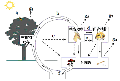 哪里可以看食物链_怀表看的是链儿 尿床看的是片儿_链家中介的看房确认书