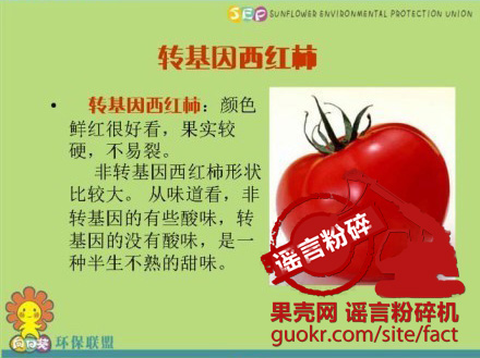 北京市场番茄批发价_上下传来事转虚是转运签_市场上全是转基因番茄