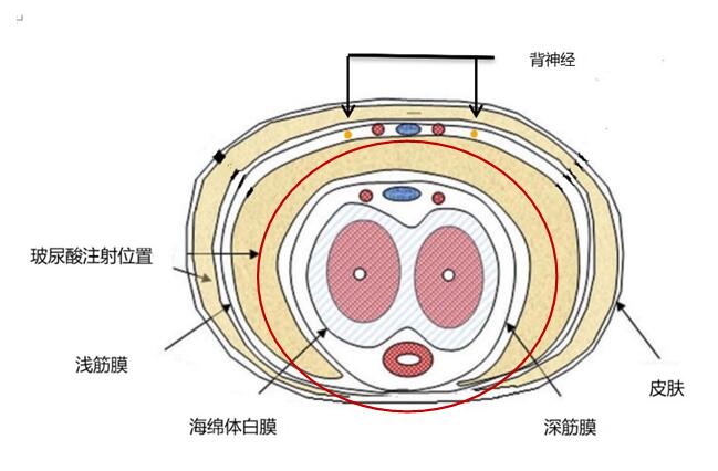 优能佳皇帝油有效果吗?_优能佳皇帝油吧_优能佳皇帝油一天用三次