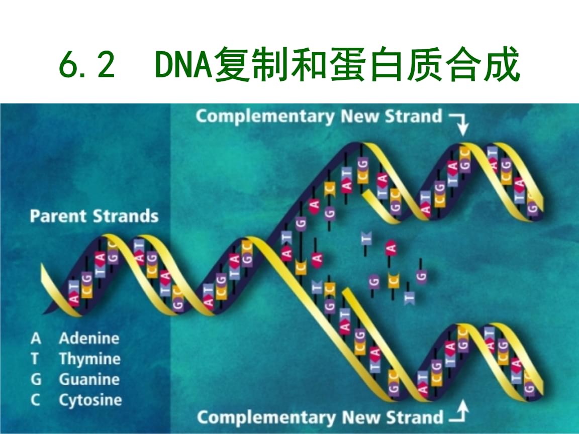 转bt蛋白基因植物_什么油没有转基因的_肺癌基因没突变好治吗?