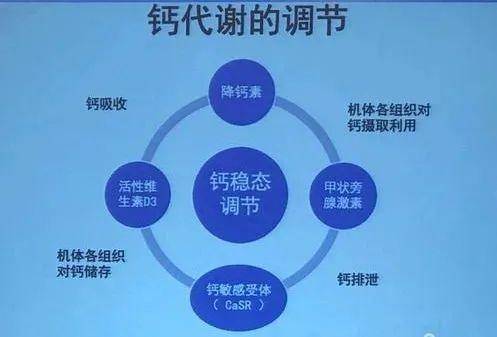 斯利安多维片是钙片吗_正常人可以吃金斯利安多维片_斯利安多维片