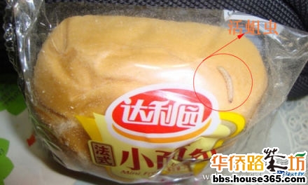 有蚊子在食品上图片_上嘴唇被蚊子咬了_有谁在德乐食品上班的