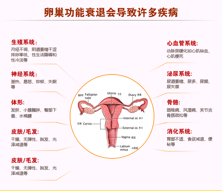 美容做身体都做哪些部位_美容院做身体价格表_美容做身体图片大全