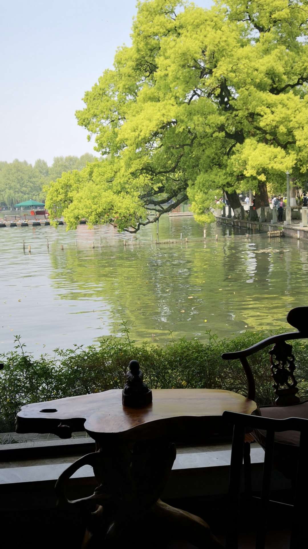 云雾绿茶与日照绿茶什么区别_崂山绿茶和日照绿茶_日照绿茶在哪买比较好