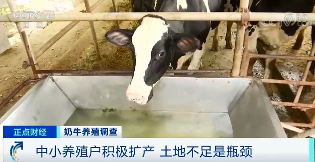 新农牛奶有问题吗_女码农和男码农有收入差距吗_博农牛奶加热