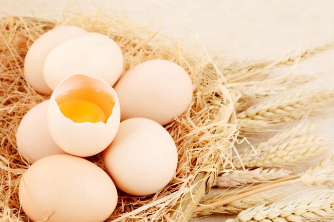 市面上的鸡蛋有激素吗_饲料鸡蛋有激素吗_吃饲料的鸡蛋有激素吗