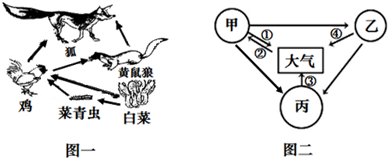 过年食物及其营养成分_广东省食物成分检测_食物网中没画出的成分