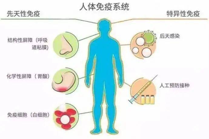 服用黑蚂蚁粉的真实感受_蚂蚁牙黑 蚂蚁雅黑_服用伟哥的感受