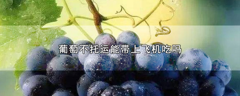 水果可以带进地铁吗_水果可以带进地铁吗_可以从香港带水果回内地吗