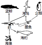 食物链有图片_有车有猫有链的有证书_有痔疮不能吃什么食物