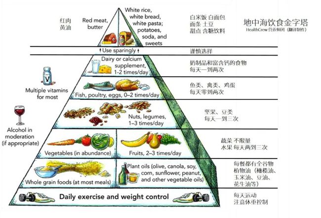 你设计的午餐食谱是如何做到营养合理,经济实惠的?_为中学生设计一个午餐食谱_营养均衡的午餐食谱