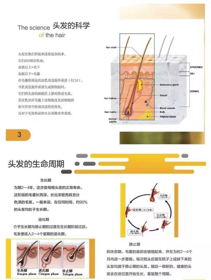 国内最好干细胞是哪家_盐干海参好还是淡干海参好_产生抗体的细胞是at细胞