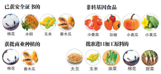中国领导吃转基因食品_基因改造食品的危害_基因改造食品有毒吗