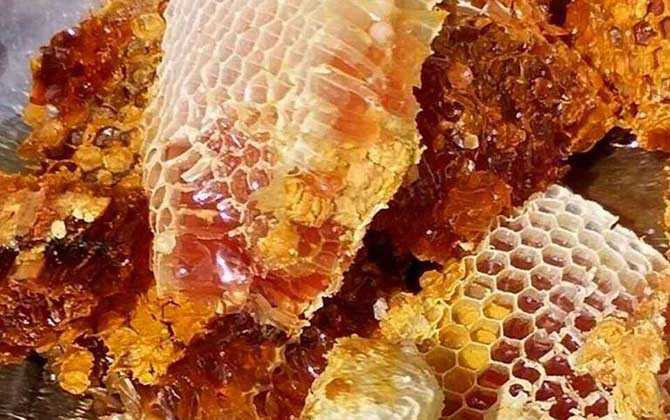 土蜂蜜一般价格是多少钱一斤_市场上的土蜂蜜多少钱一斤_土蜂蜜与土蜂巢蜜