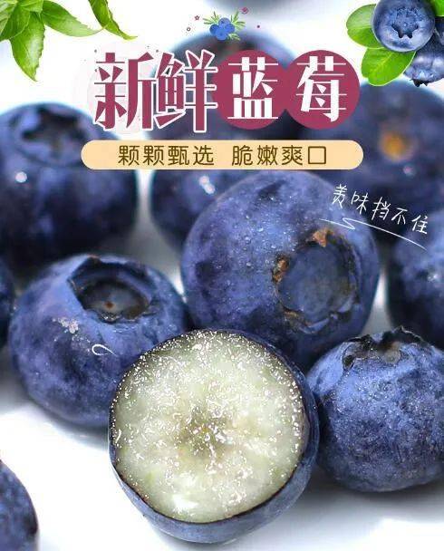 蓝莓味李果是蓝莓吗_火车上蓝莓李果能买么_北京蓝莓果教育科技有限公司