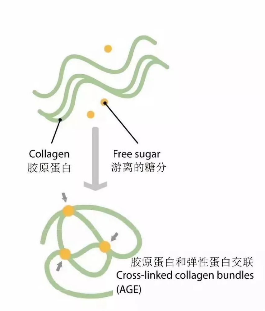 什么可以做食品干燥剂_美拉德反应可以做食品_氮气可以做食品防腐