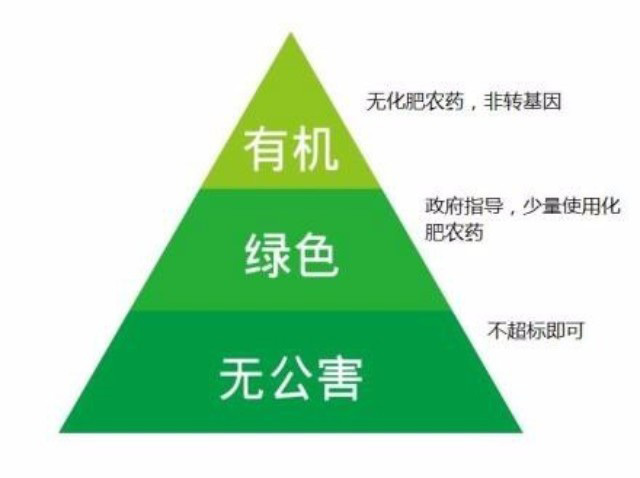 生活中有哪些绿色食品_绿色出行低碳生活_“低碳生活 绿色出行”