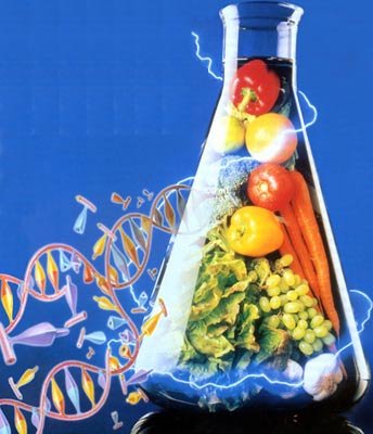 转生长激素基因鲤鱼_转基因食品有什么缺点_转bt基因抗虫棉