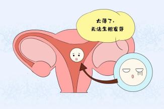 为什么冻胚移植后没一点感觉_移植冻胚着床后的感觉_冻胚移植后必须平躺吗