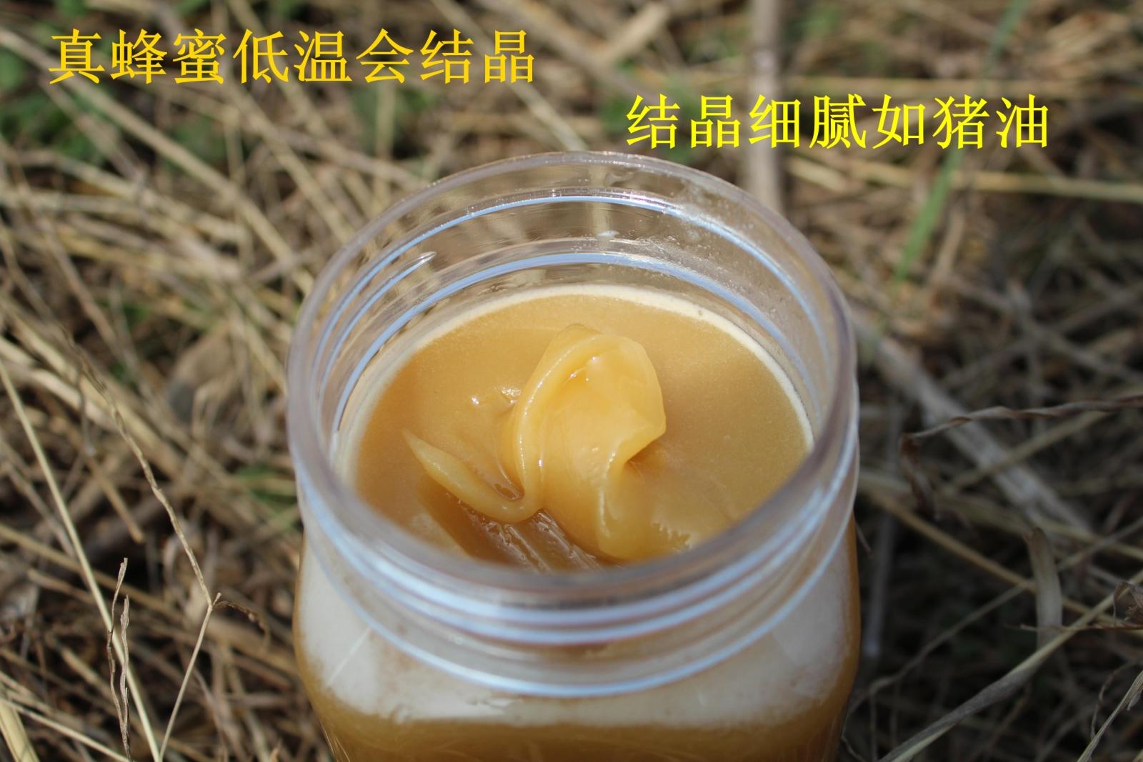 野蜂蜜有点酸是野蜂蜜吗_广东纯野蜂蜜多少钱一斤合适_纯野生土蜂蜜