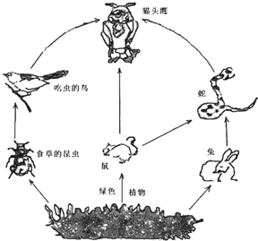 食物网中没画出的成分_食物中的生物活性成分_中国建没银行官网下载