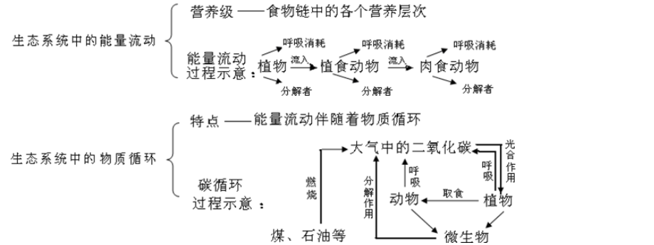 食物网中没画出的成分_网赌出款成功没到账_食物干燥剂的成分