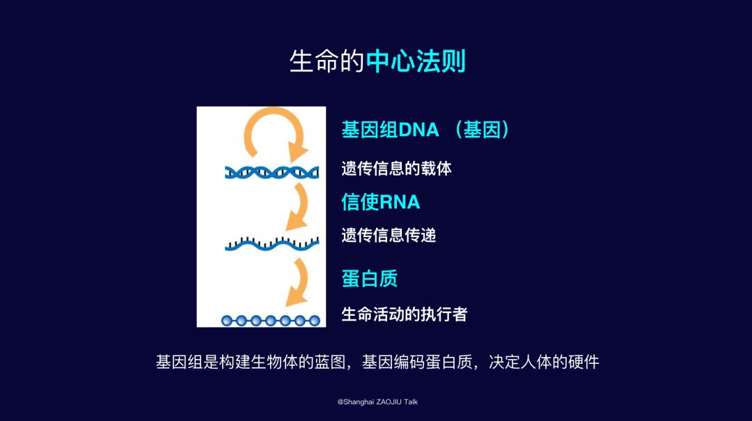中国领导吃转基因食品_转bt基因抗虫棉_中国领导吃转基因食品