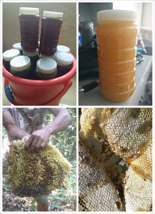 明会丽土蜂蜜的价格_土蜂蜜放冰箱多久会过期_明会丽土蜂蜜是真的吗