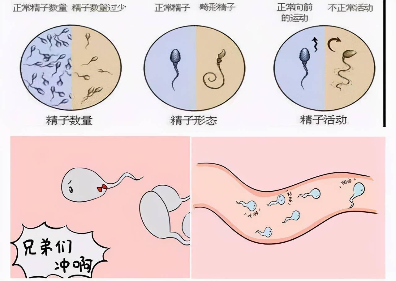 优能佳皇帝油是真的吗?_优能佳精油用了两天不硬了_优能佳皇帝油