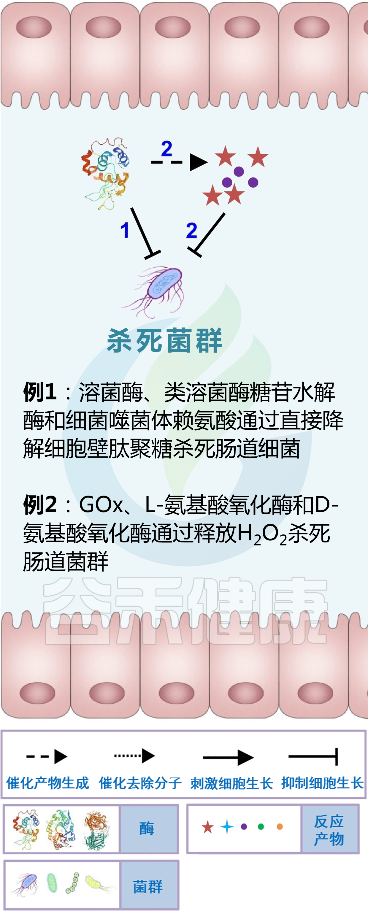 保罗微生物酵素在北京哪里有卖_保罗生物酵素_滋涌堂卖足贴卖酵素卖洗衣片卖初己