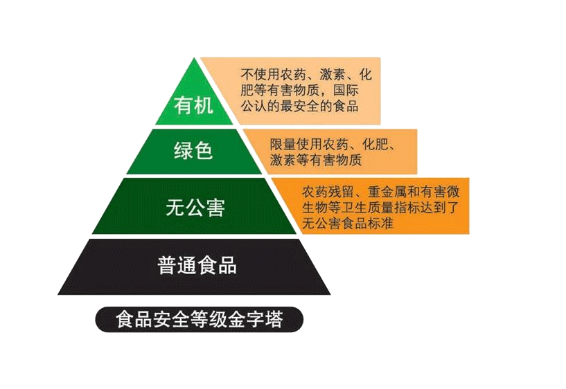 生活啊生活我爱生活是什么歌_食品中钠的含量是盐吗_生活中哪些是绿色食品