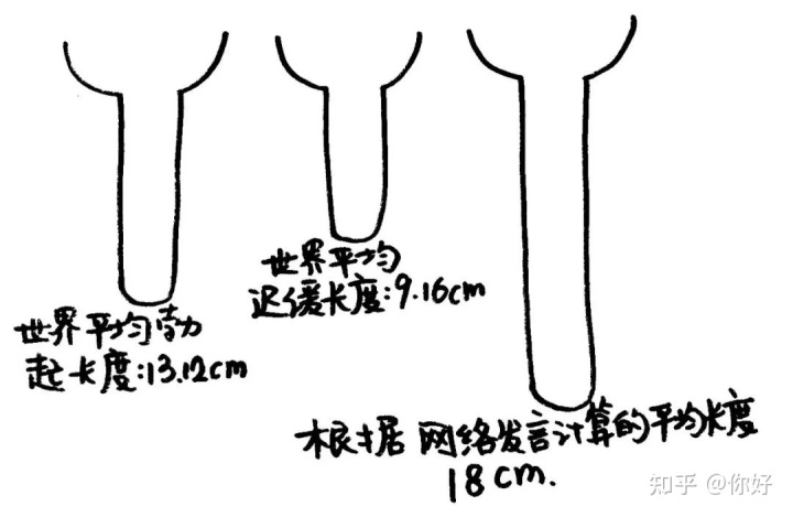 西洋参与三七粉怎样吃_男人吃西洋参对性功能好吗_胶东海参好还是辽参好