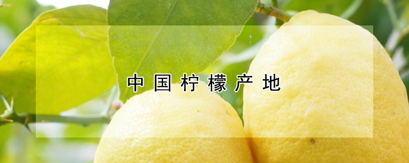 上海比较好玩的地方_珠海哪个地方比较好玩的地方_什么地方产的柠檬比较好