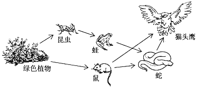 hyperledger是区块链公链吗_食物链是从什么开始的_元朝开始形成的新民族是