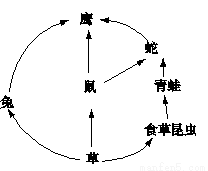 食物链是从什么开始的_电话订票是几点开始_长链脂肪酸食物