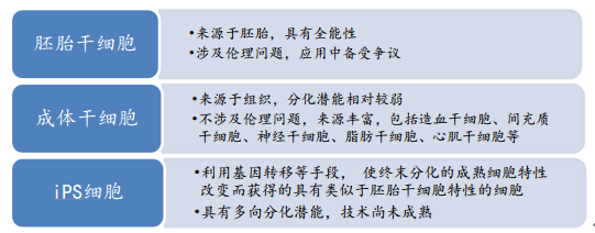 产生抗体的细胞是at细胞_干细胞最好的是乌克兰_效应t细胞是b细胞吗