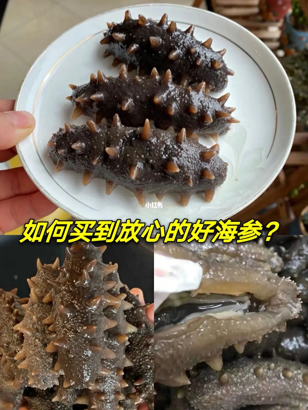 好品质海参哪有得卖_淡干海参好还是盐干海参好_好品质海参哪有得卖