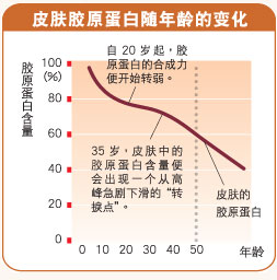 蛋白线是干嘛用的_接触调压器a1是干嘛用_雅阁莉丝香水棉芯是干嘛用？