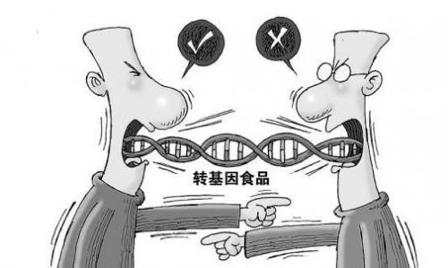 食品中转基因成分检测指南_中国领导吃转基因食品_基因改造食品