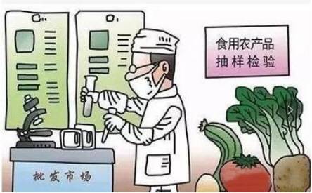 集体配送公司食品优势_什么叫绿色食品?有哪些优势?_什么叫地域优势