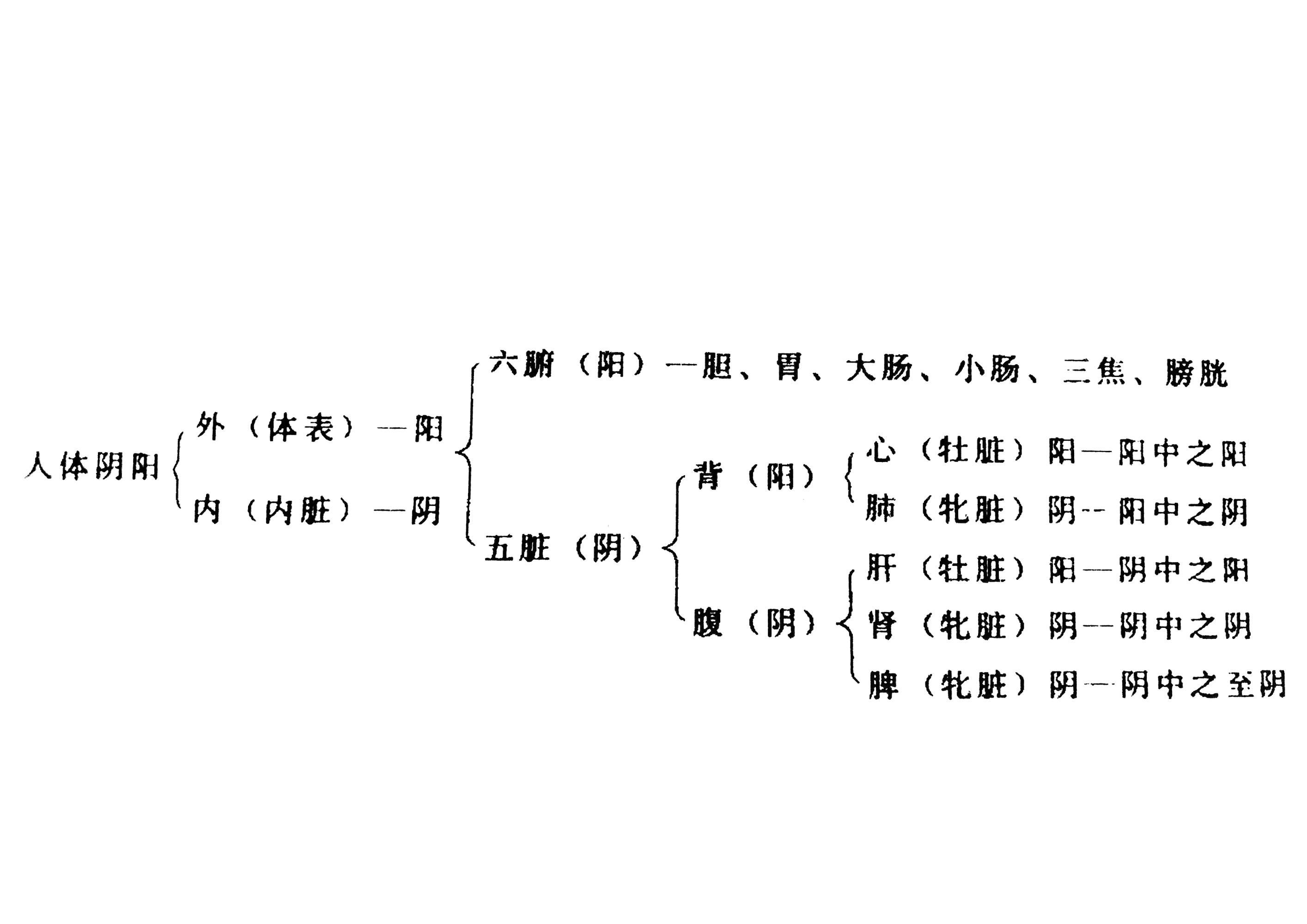 简述五行的特性_中医五行原理和天地五行原理一致吗_简述五行学说在中医学中的应用