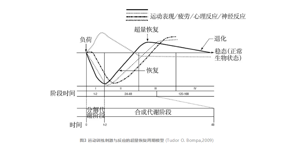 社会组织的分类_社会公共安全设备分类_社会上人的分类