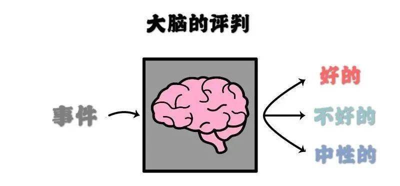 大脑如何产生意识_大脑不产生意识_人的意识是怎么产生的