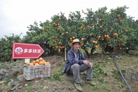 拼多多助力享免单技巧_哪里可以买拼多多助力_拼多多助力享免单